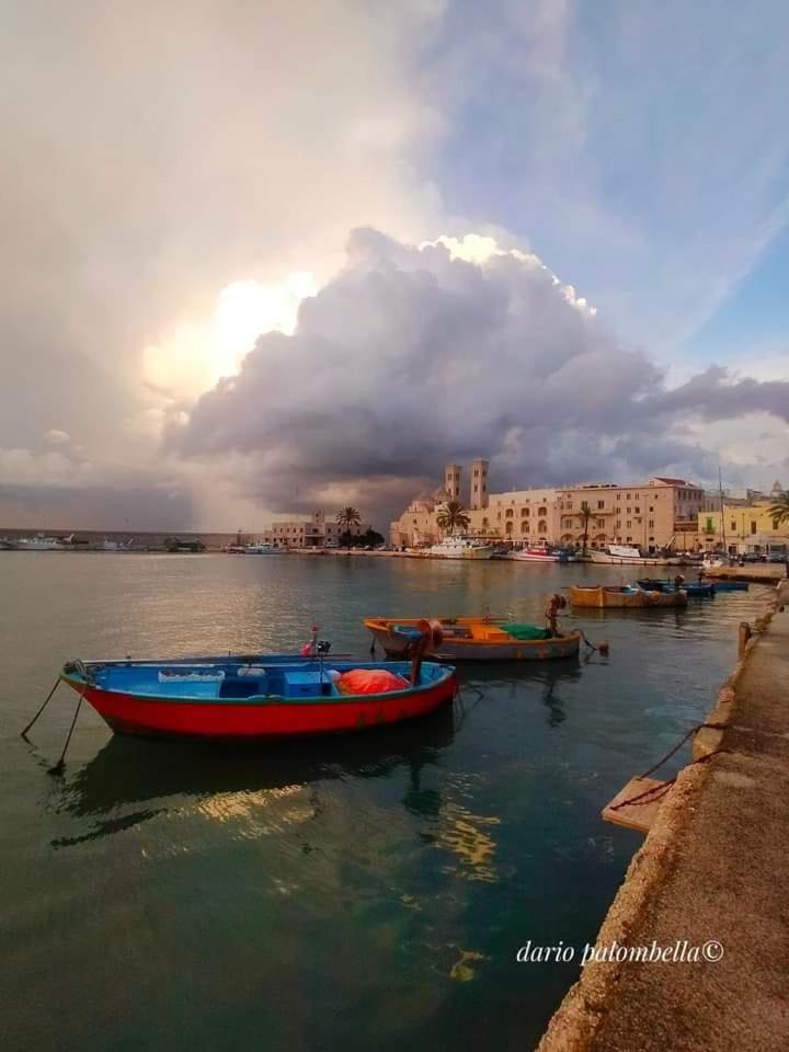 Melficta House Apartment Molfetta Bagian luar foto
